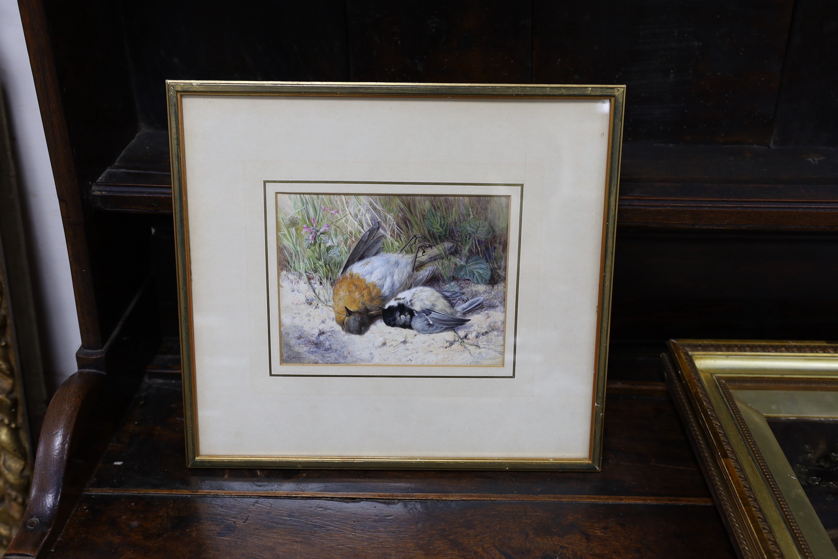 Helen Coleman Angell (1847-1884), watercolour, Still life of a dead birds and wildflower, signed, 14 x 18cm